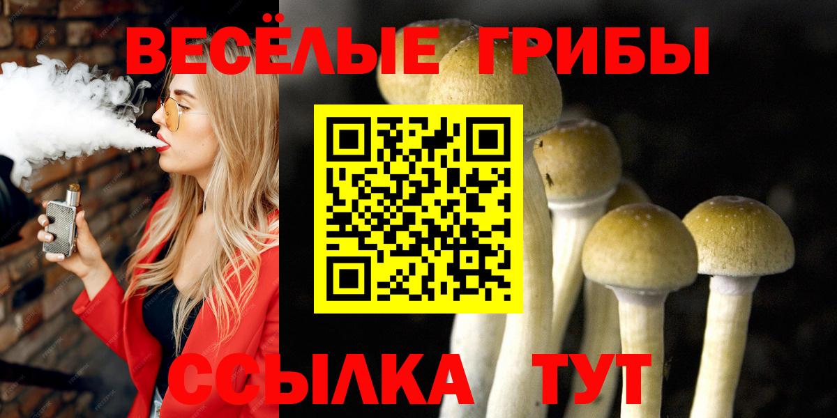 Псилоцибиновые грибы Cubensis  Псилоцибиновые грибы GOLDEN TEACHER  купить наркоту  Кандалакша  Вход с VPN 