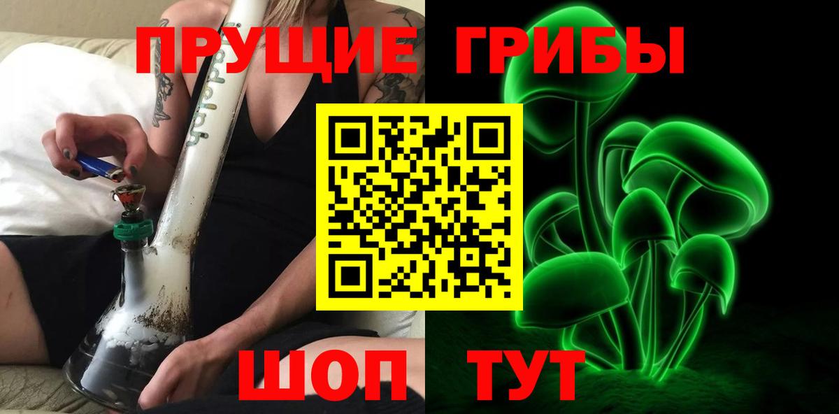 Псилоцибиновые грибы Psilocybine cubensis Кандалакша